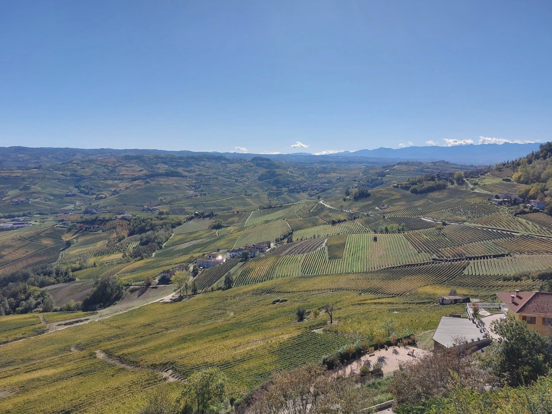 Vineyards laid over the hills of the Langhe, hamlets scattered along the ridgelines.