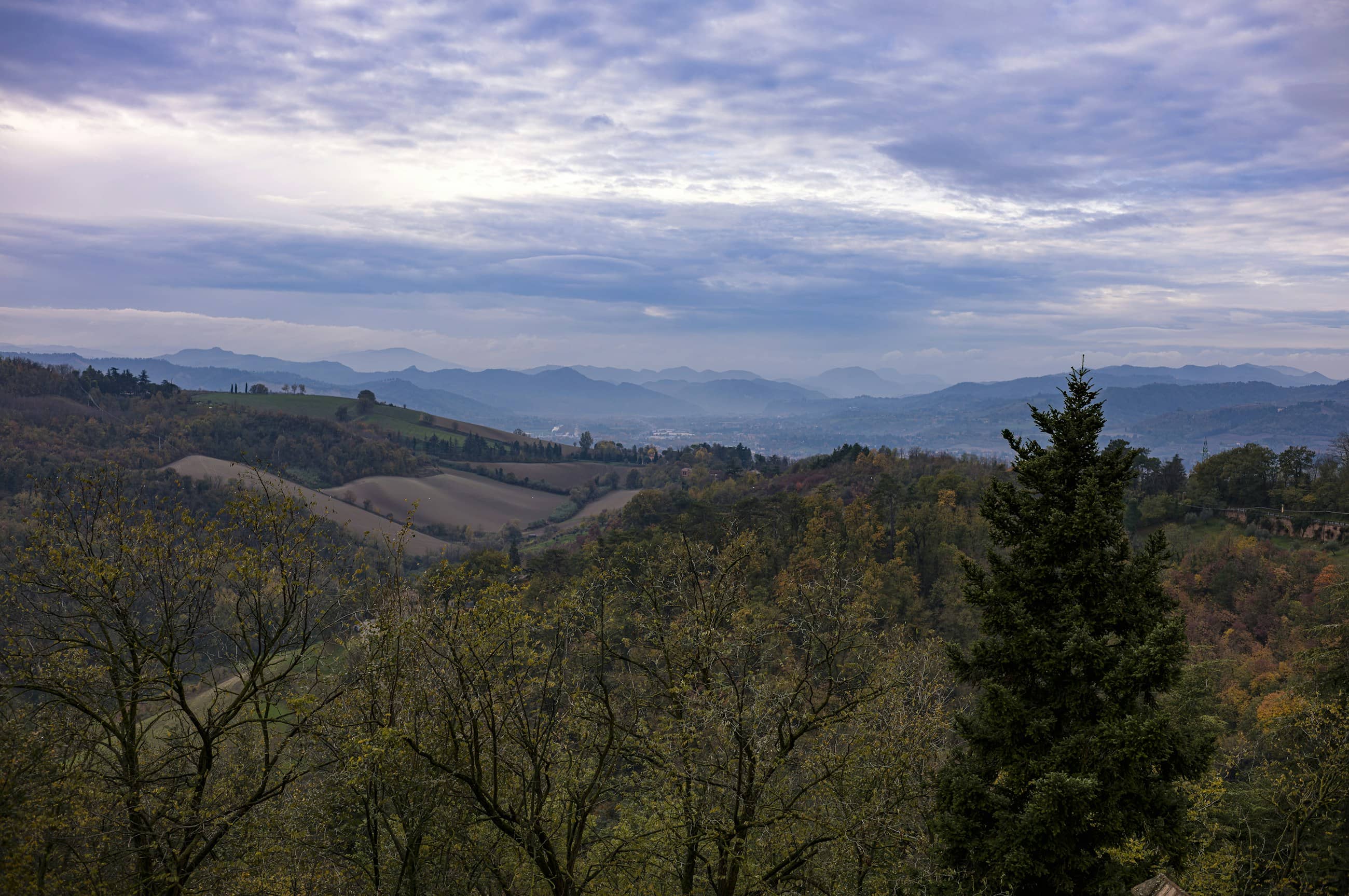 Wooded hills receding in layers of haze below the Emilian Apennines, one dark cypress in the foreground.