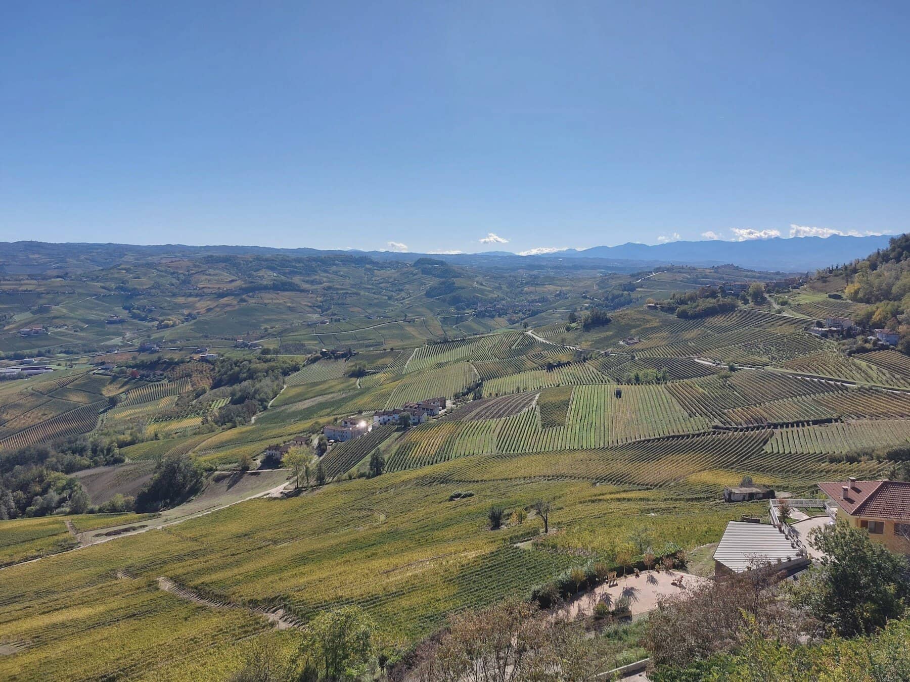 Vineyards laid over the hills of the Langhe, hamlets scattered along the ridgelines.