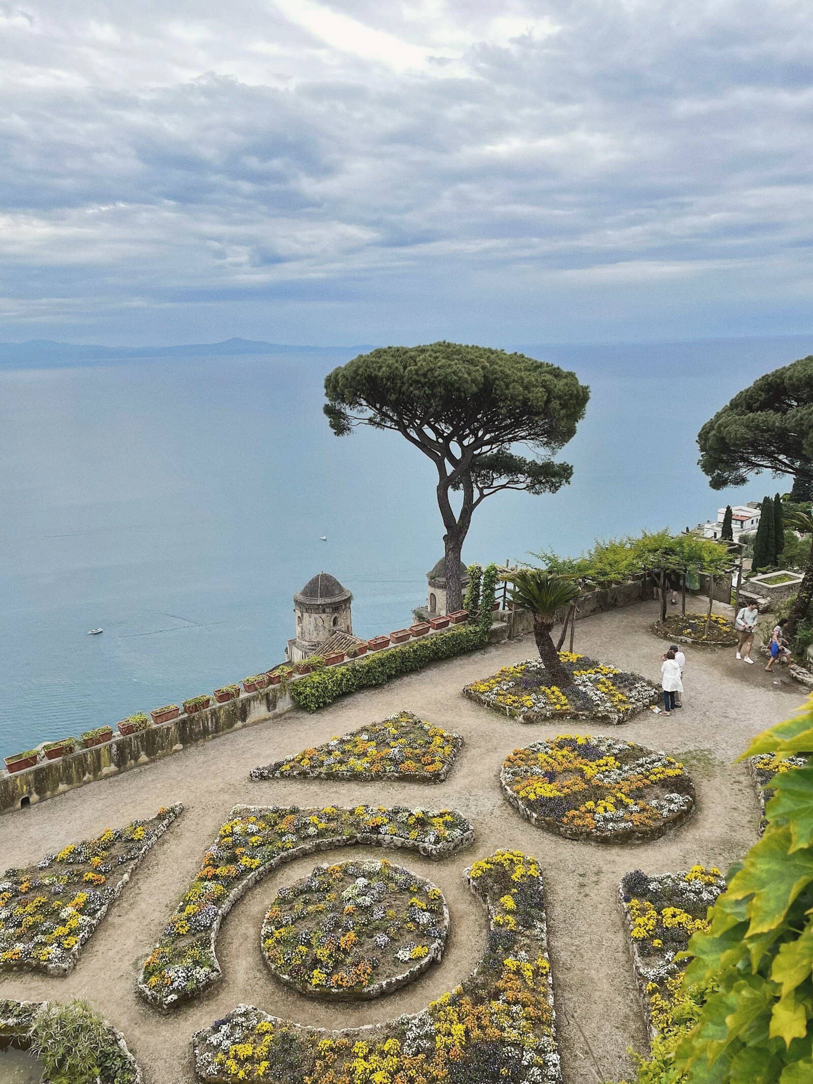 A clipped garden above the sea at Ravello, a broad umbrella pine on the terrace edge.